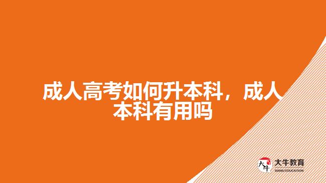 成人高考如何升本科，成人本科有用嗎