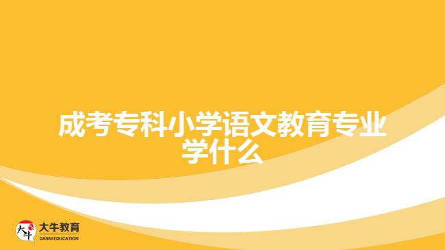 成考?？菩W(xué)語(yǔ)文教育專業(yè)學(xué)什么