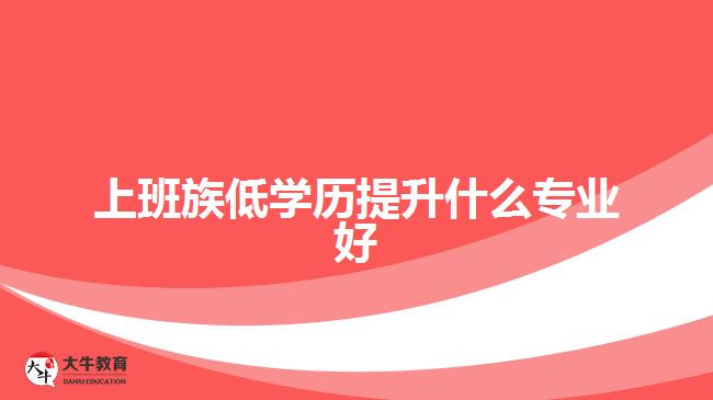 上班族低學(xué)歷提升什么專(zhuān)業(yè)好