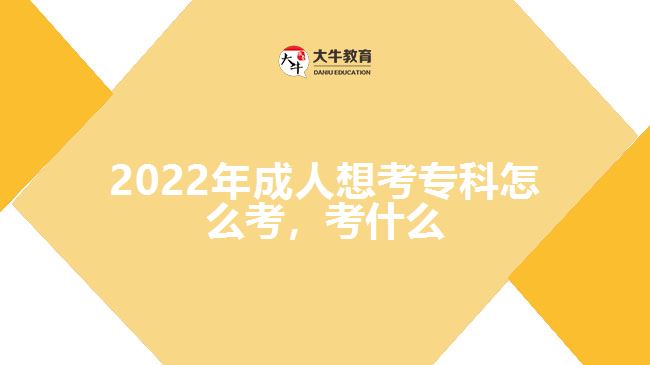 2022年成人想考?？圃趺纯?，考什么