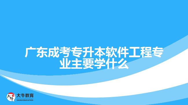 廣東成考專(zhuān)升本軟件工程專(zhuān)業(yè)主要學(xué)什么