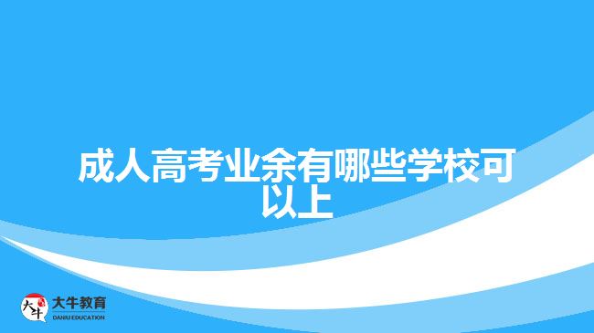 成人高考業(yè)余有哪些學校可以上