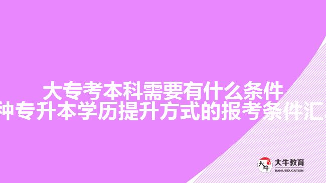 大?？急究菩枰惺裁礂l件