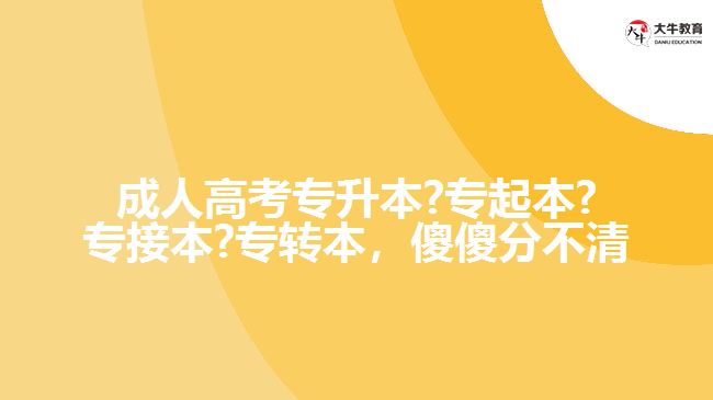 成人高考專升本?專起本?專接本?專轉(zhuǎn)本，傻傻分不清