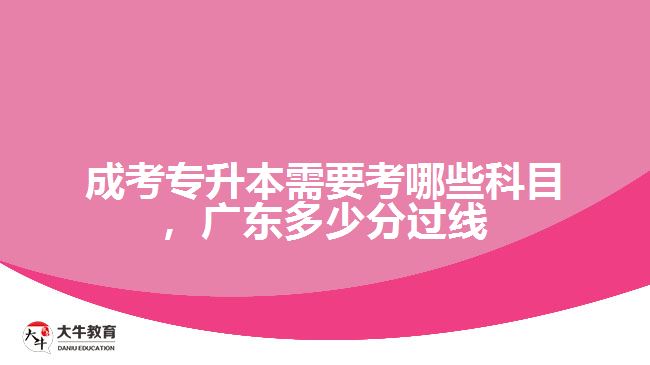 成考專升本需要考哪些科目，廣東多少分過(guò)線