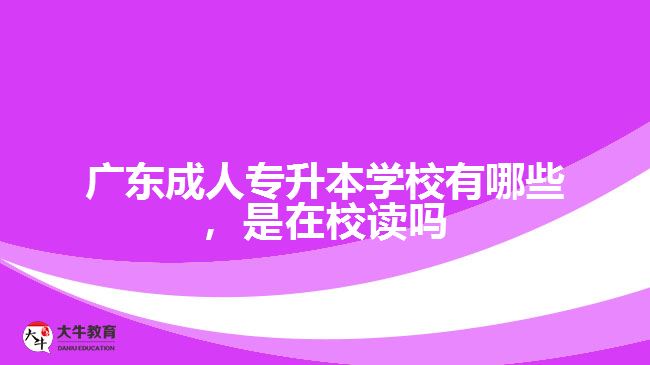 廣東成人專(zhuān)升本學(xué)校有哪些