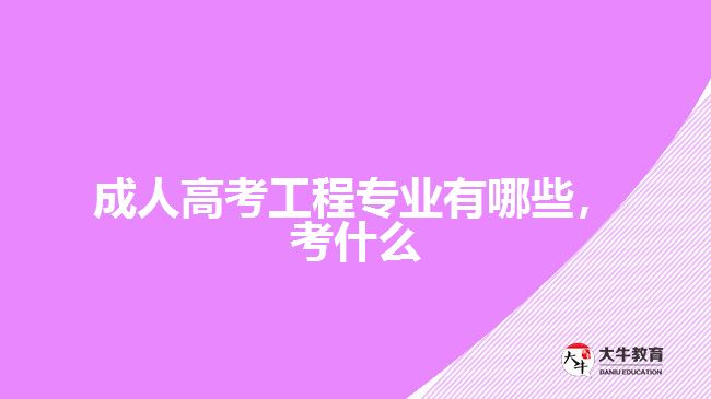 成人高考工程專業(yè)有哪些，考什么