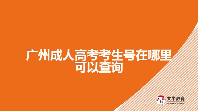 廣州成人高考考生號(hào)在哪里可以查詢(xún)