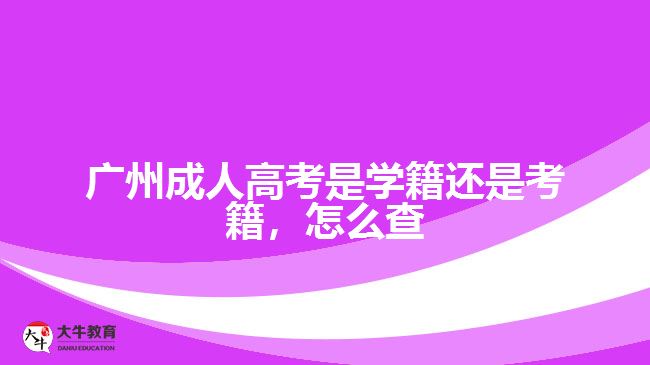 廣州成人高考是學籍還是考籍，怎么查