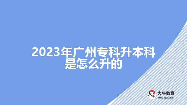 2023年廣州?？粕究剖窃趺瓷? /></div>
<p>　　成人高考專升本、自考專升本和開放大學(xué)專升本，都屬于成人教育專升本，是非全日制教學(xué)模式，適合社會在職、從業(yè)人員和社會其他人員報考，不需要脫離生成，可利用自己空閑的時間業(yè)余學(xué)習(xí)。</p>
<p>　　成考專升本，適合已經(jīng)取得畢業(yè)證的?？飘厴I(yè)生報考，報廣州2023年成人高考可在9月份網(wǎng)上報名，考生參加入學(xué)考試，成人高校根據(jù)考試分?jǐn)?shù)擇優(yōu)錄取。通過成考而取得入學(xué)資格，經(jīng)過2.5年學(xué)制或3年學(xué)制在校學(xué)習(xí)，達(dá)到畢業(yè)要求，可取得學(xué)校頒發(fā)的本科畢業(yè)證。</p>
<p>　　自考沒有學(xué)歷、年齡等報名限制，專科在讀或?qū)？飘厴I(yè)的考生，都可以選擇自考專升本考取本科學(xué)歷。報名自考，考生可自學(xué)也可以報班學(xué)習(xí)，再一門課程一門課程參加考試，所有科目合格后且具備有大專學(xué)歷，可申請畢業(yè)。</p>
<p>　　【推薦閱讀：<a href=