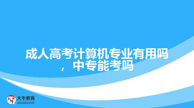成考計算機專業(yè)有用嗎，中專能考嗎