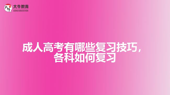 成考有哪些復(fù)習(xí)技巧，各科如何復(fù)習(xí)