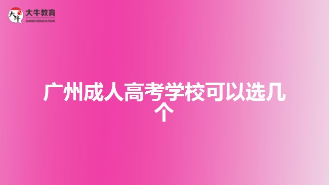 廣州成人高考學(xué)?？梢赃x幾個
