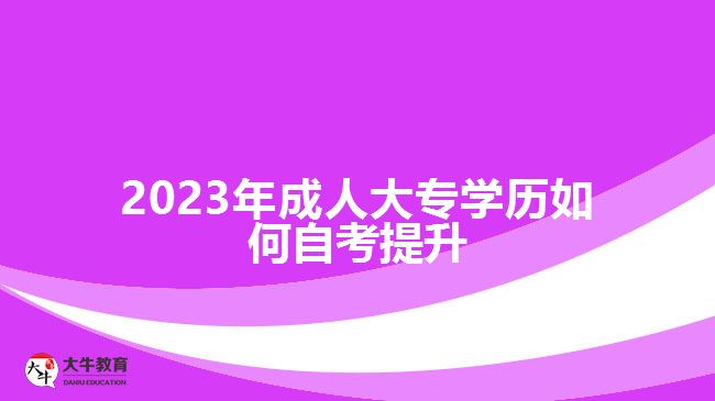 2023年成人大專學歷如何自考提升