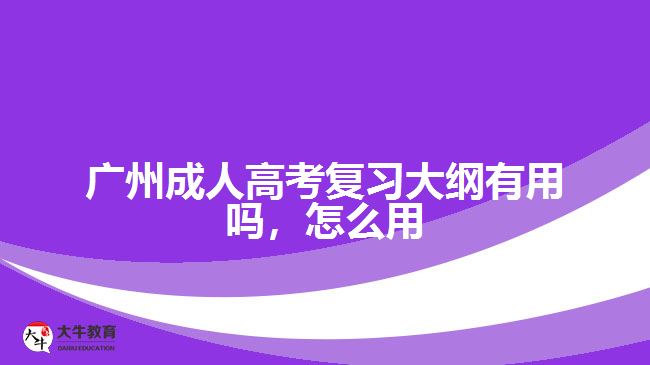 廣州成人高考復(fù)習(xí)大綱有用嗎，怎么用