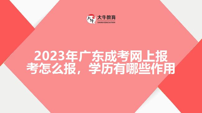 2023年廣東成考網(wǎng)上報考怎么報，學(xué)歷有哪些作用