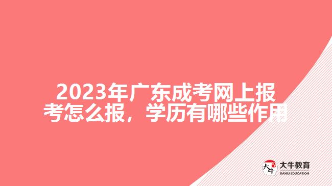 成考網上報考怎么報學歷有哪些作用
