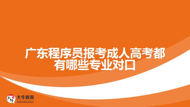 廣東程序員報(bào)考成人高考都有哪些專業(yè)對口