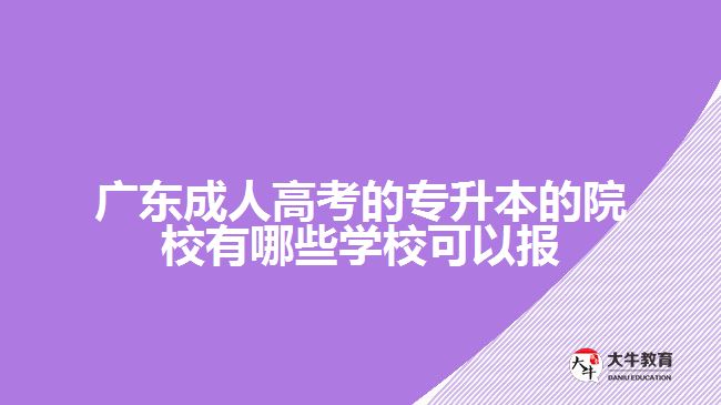 廣東成人高考的專升本的院校有哪些學(xué)校可以報(bào)