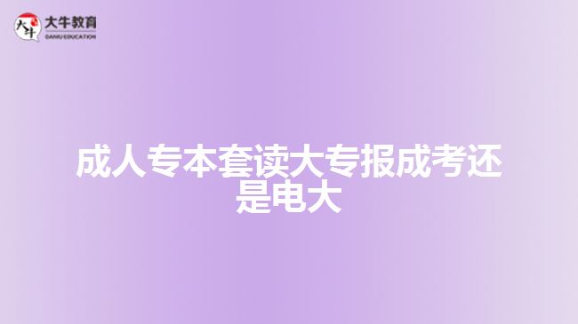 成人專(zhuān)本套讀大專(zhuān)報(bào)成考還是電大