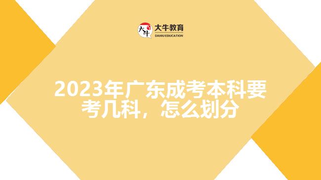 廣東成考本科要考幾科，怎么劃分