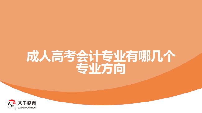 成人高考會(huì)計(jì)專(zhuān)業(yè)有哪幾個(gè)專(zhuān)業(yè)方向