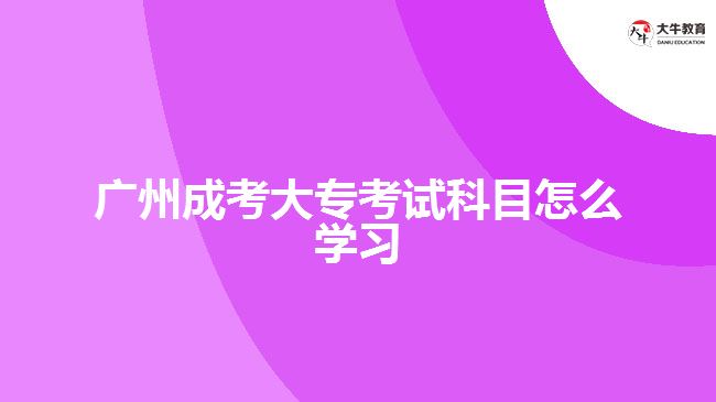 廣州成考大專考試科目怎么學(xué)習(xí)
