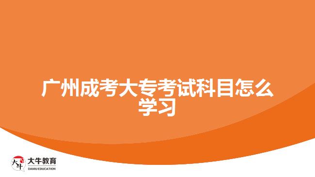 廣州成考大?？荚嚳颇吭趺磳W(xué)習(xí)