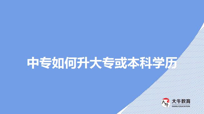 中專如何升大?；虮究茖W歷