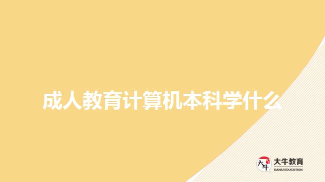成人教育計算機本科學什么