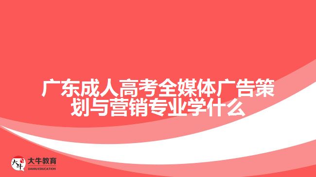 廣東成人高考全媒體廣告策劃與營(yíng)銷(xiāo)專(zhuān)業(yè)學(xué)什么