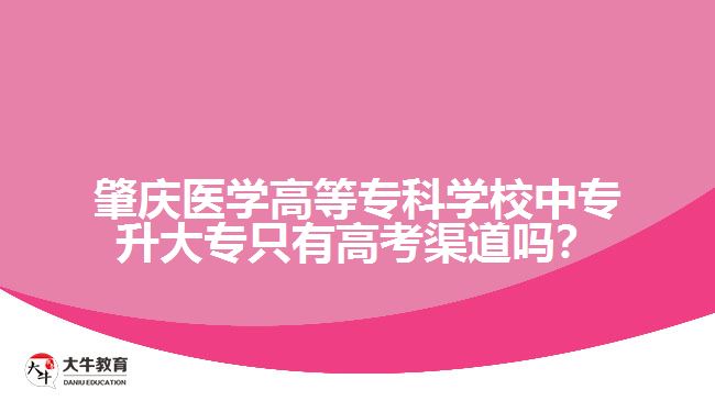 肇慶醫(yī)學(xué)高等專(zhuān)科學(xué)校中專(zhuān)升大專(zhuān)只有高考渠道嗎？