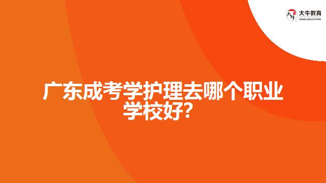 廣東成考學(xué)護(hù)理去哪個(gè)職業(yè)學(xué)校好？