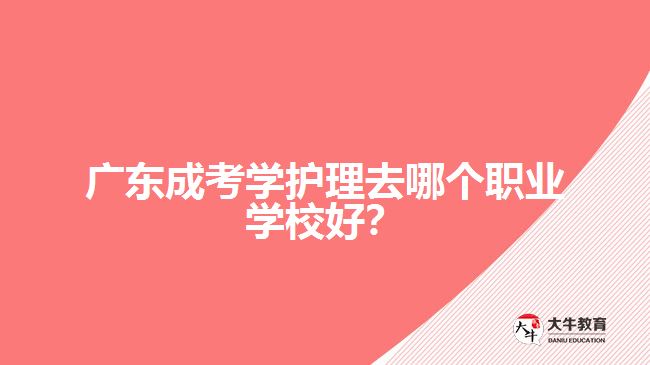 廣東成考學(xué)護(hù)理去哪個(gè)職業(yè)學(xué)校好？