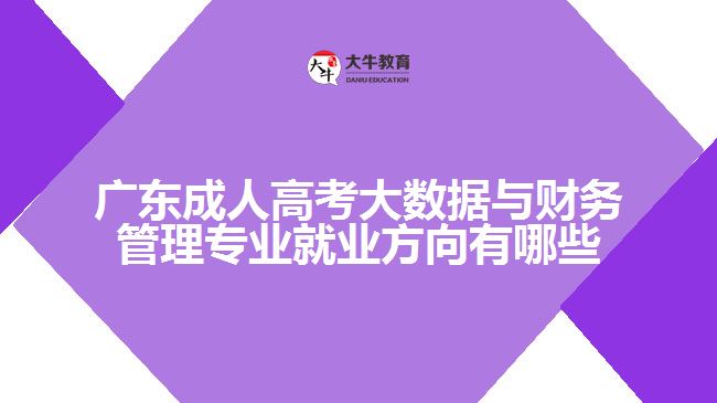 廣東成人高考大數(shù)據(jù)與財務管理專業(yè)就業(yè)方向有哪些