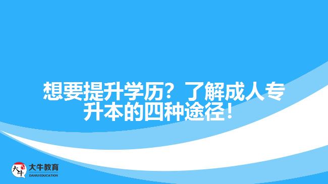 想要提升學(xué)歷？了解成人專升本的四種途徑！