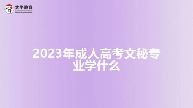 2023年成人高考文秘專(zhuān)業(yè)學(xué)什么