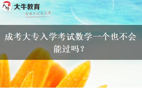 成考大專入學(xué)考試數(shù)學(xué)一個(gè)也不會(huì)能過(guò)嗎？