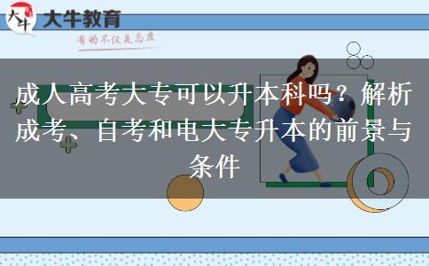 成人高考大?？梢陨究茊?？解析成考、自考和電大專升本的前景與條件