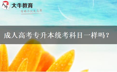 成人高考專升本統(tǒng)考科目一樣嗎？