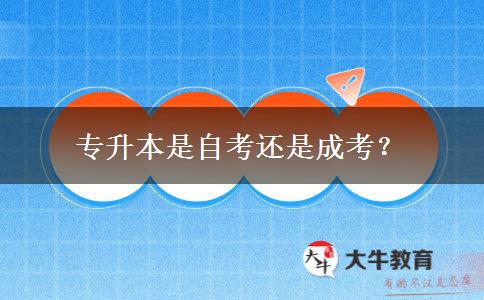 專升本是自考還是成考？