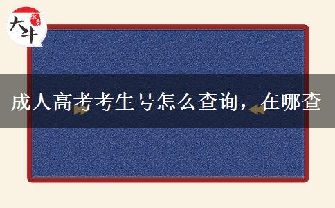 成人高考考生號(hào)怎么查詢(xún)，在哪查
