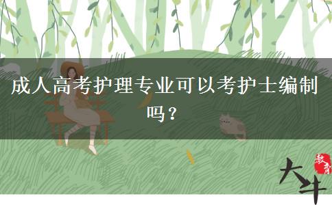 成人高考護理專業(yè)可以考護士編制嗎？