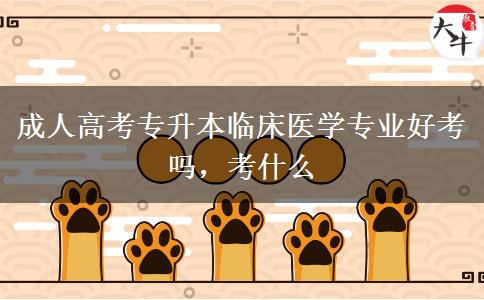 成人高考專(zhuān)升本臨床醫(yī)學(xué)專(zhuān)業(yè)好考嗎，考什么