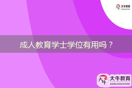 成人教育學(xué)士學(xué)位有用嗎？