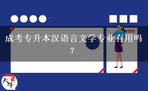 成考專升本漢語言文學(xué)專業(yè)有用嗎？