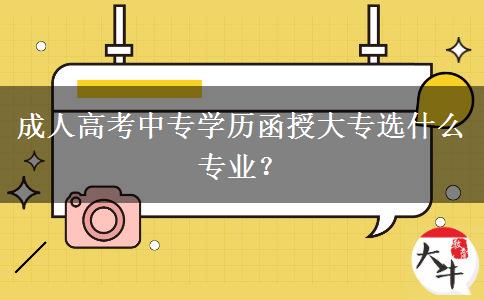 成人高考中專學(xué)歷函授大專選什么專業(yè)？