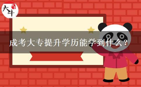成考大專(zhuān)提升學(xué)歷能學(xué)到什么？