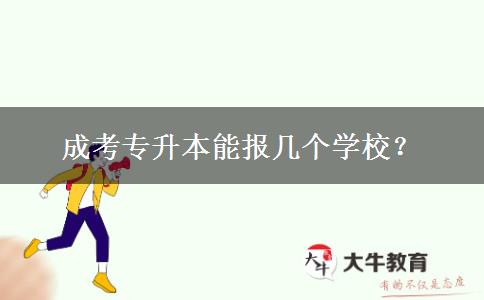 成考專升本能報幾個學(xué)校？