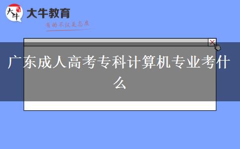 廣東成人高考?？朴嬎銠C專業(yè)考什么